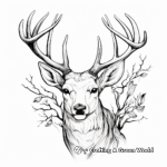 Stunning White Tailed Deer Antlers Coloring Page 2