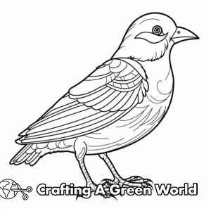 Bird Coloring Pages for Adults - Free &amp; Printable!