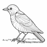Stylized Crow Adult Coloring Pages 4