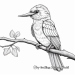 Stylized Kingfisher Coloring Pages for Teens 4
