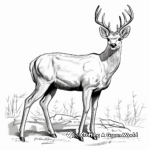 Stylized Mule Deer Coloring Pages for Advanced Artists 1