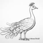 Stylized Peacock with Open Tail Coloring Pages 1