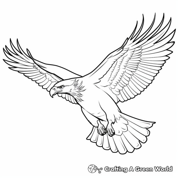 Flying Eagle Coloring Pages - Free & Printable!