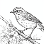 Subalpine Wren-Babbler Coloring Pages for Nature Enthusiasts 3