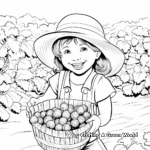 Summer Raspberry Harvest Coloring Pages 2