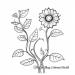 Sunflower Vine Coloring Pages for Children 2