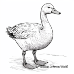 Swan Goose Coloring Pages for Adults 2