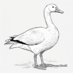 Swan Goose Coloring Pages for Adults 3