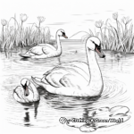 Swans and Water Lilies: Peaceful Scene Coloring Pages 3