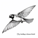 Swift Swallow Swooping Down Coloring Pages 4