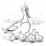 Teaching Resource: Pelican Life Cycle Coloring Pages 1