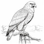 The Majestic Ferruginous Hawk Coloring Pages 1