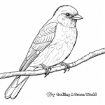 The Majestic Indian Roller Blue Bird Coloring Pages 3