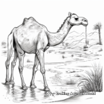 Thirsty Camel Near Oasis Coloring Page for Nature Lovers 1