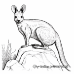Páginas para colorear del Wallaby de las Rocas de Cola de Pincel Amenazado 3