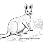 Páginas para colorear del Wallaby de las Rocas de Cola de Pincel Amenazado 4