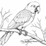 Tropical Green-Winged Macaw Coloring Pages 3
