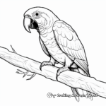 Tropical Green-Winged Macaw Coloring Pages 4