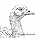Turkey Profile Picture Coloring Pages 4