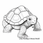 Turtle Shell Protection Adaptation Coloring Pages 2