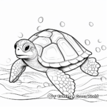 Turtle Shell Protection Adaptation Coloring Pages 3