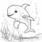 Under-the-Sea Baby Dolphin Coloring Pages 3