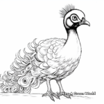 Unique Java Green Peacock Coloring Pages 2