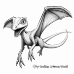 Unique Pterodactyl Dinosaur Flying Coloring Pages 3