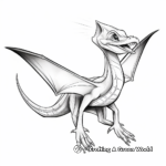 Unique Pterodactyl Dinosaur Flying Coloring Pages 4