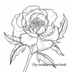 Unwind with Peony Flower Coloring Pages for Adults 4