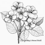 Variegated Hydrangea Coloring Pages for Botany Lovers 1