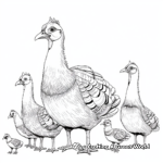 Various Breeds of Turkey Coloring Pages 1