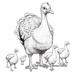 Various Breeds of Turkey Coloring Pages 2