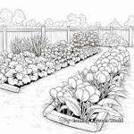 Various Herbs Garden Coloring Pages 3