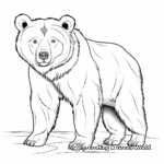Very Realistic Grizzly Bear Coloring Sheets 1