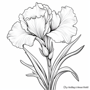 Vibrant Gladiolus Flower Coloring Sheets 1