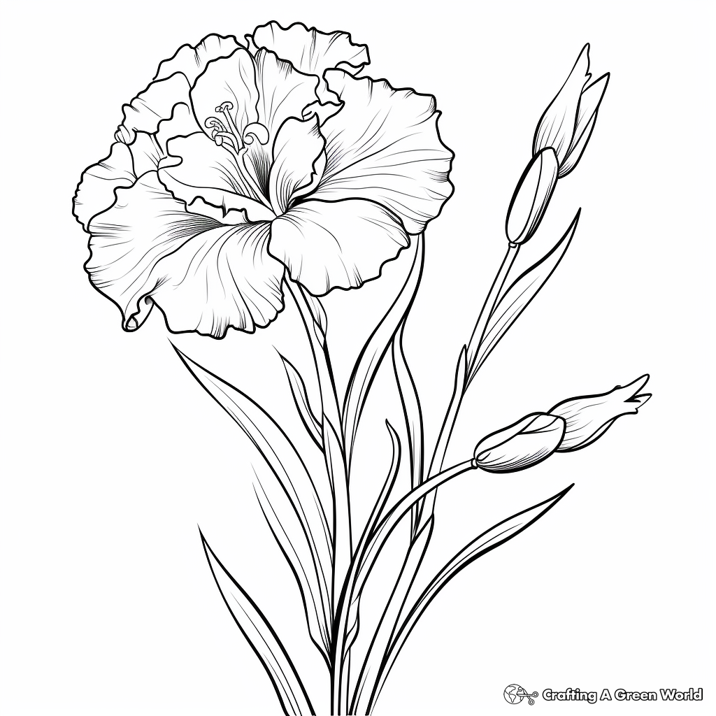 Vibrant Gladiolus Flower Coloring Sheets 2