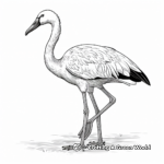 Vibrant Greater Flamingo Coloring Pages 2