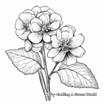 Vibrant Hydrangea Macrophylla Coloring Sheets 3