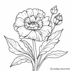 Vibrant Marigold Fall Flower Coloring Pages 2