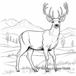 Vibrant Mule Deer Buck Coloring Pages 2