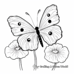 Vibrant Poppy and Butterfly Coloring Pages 2