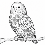 Vibrant Rainbow Budgie Coloring Pages 2