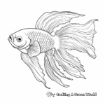 Vibrant Siamese Fighting Fish Coloring Pages 4