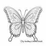 Vibrant Tropical Butterfly Coloring Sheets 4