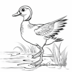 Vibrant Wood Duck in Action Coloring Pages 3