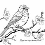 Vivid Orchard Oriole Coloring Pages 2