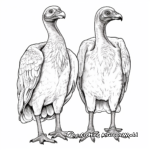 Vulture Pair Coloring Pages: Male and Female 1