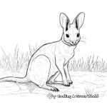 Páginas para colorear de Wallaby Wildlife Rescue 4