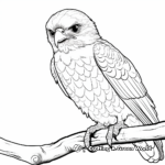 Watchful Hawks: Realistic Bird Coloring Pages 1